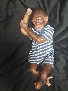 Chimpanzee monkey baby