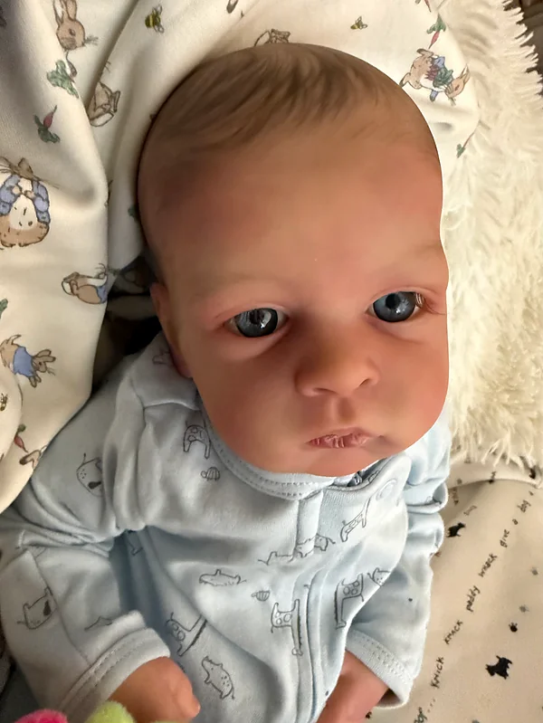 Reborn Dolls and Lifelike Baby Dolls